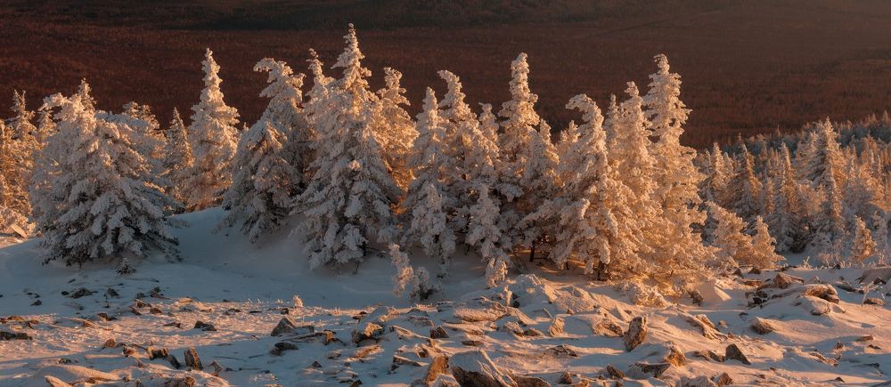 Сад камней и снежных скульптур