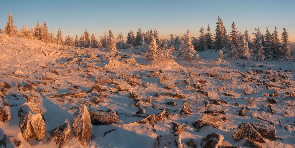 Сад камней и снежных скульптур