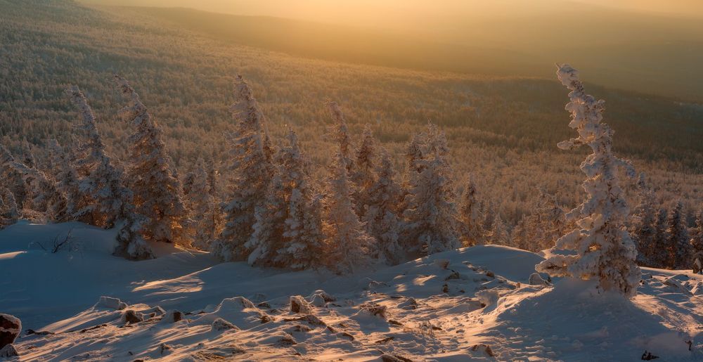 Сад камней и снежных скульптур
