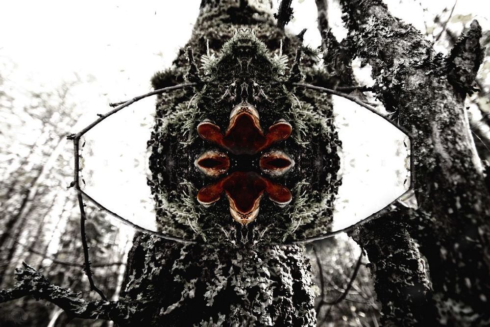 Murmurs Reflection
