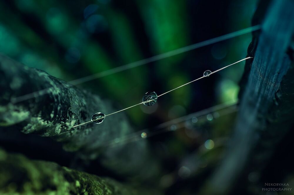 alien world