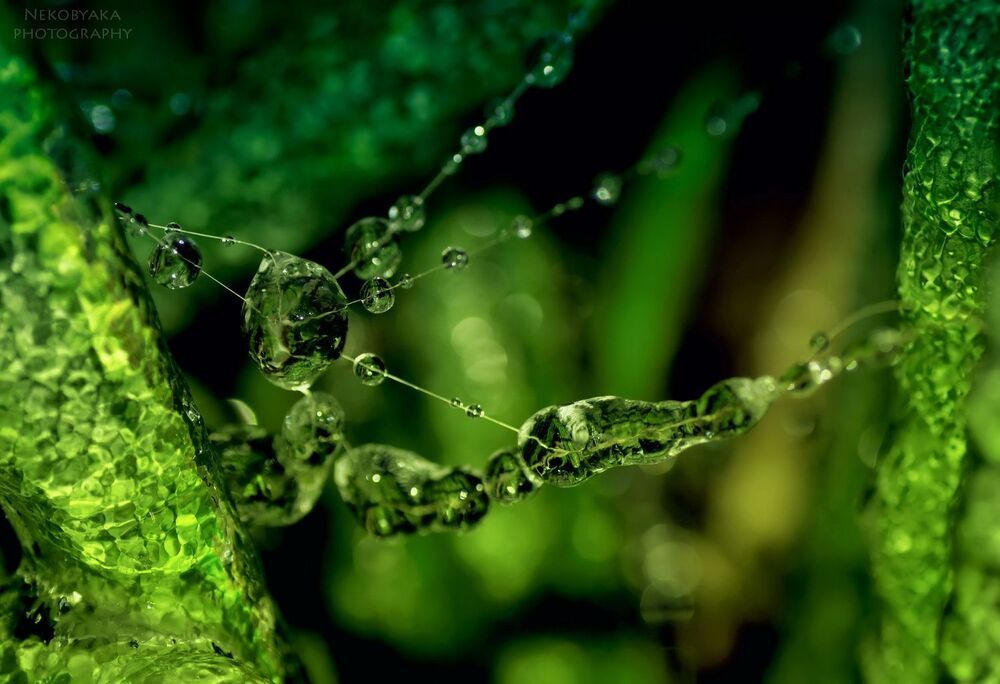 alien world