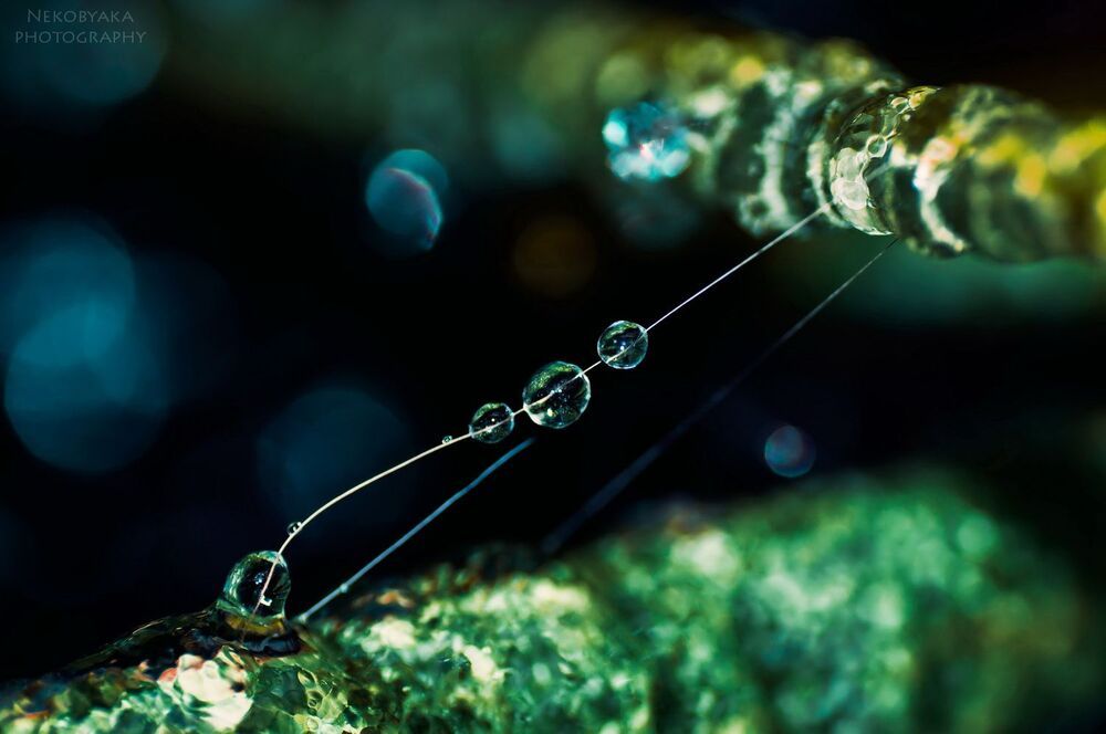 alien world
