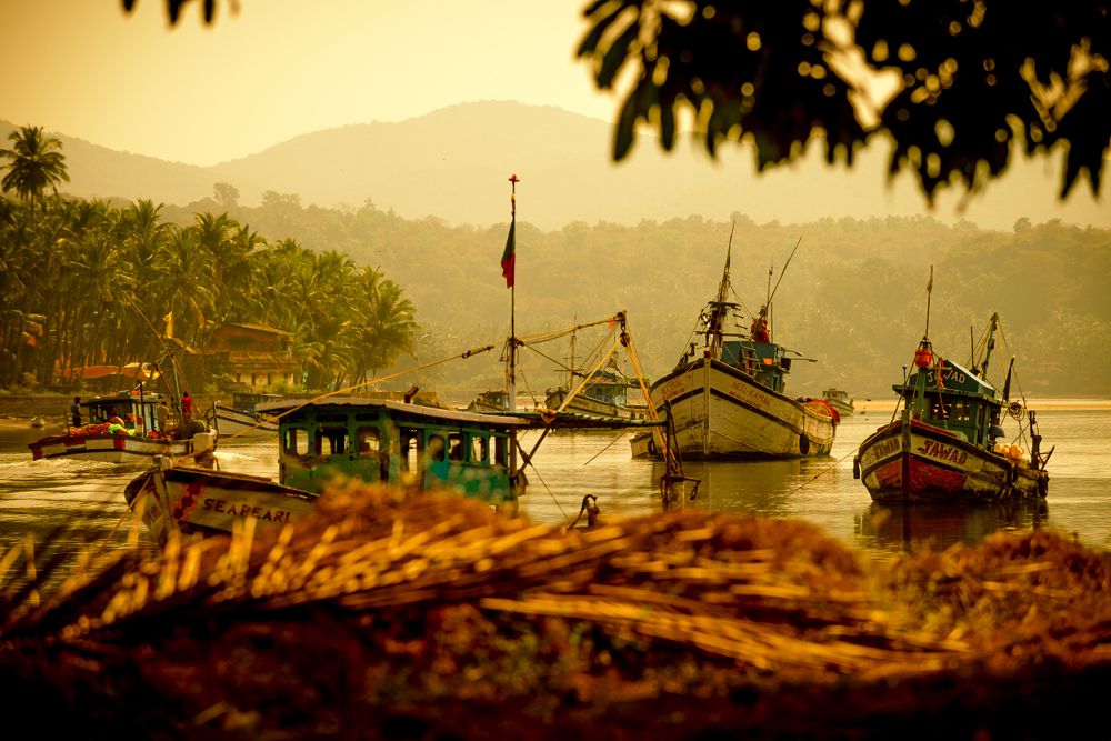 На реке Сал. Sal River. South Goa.