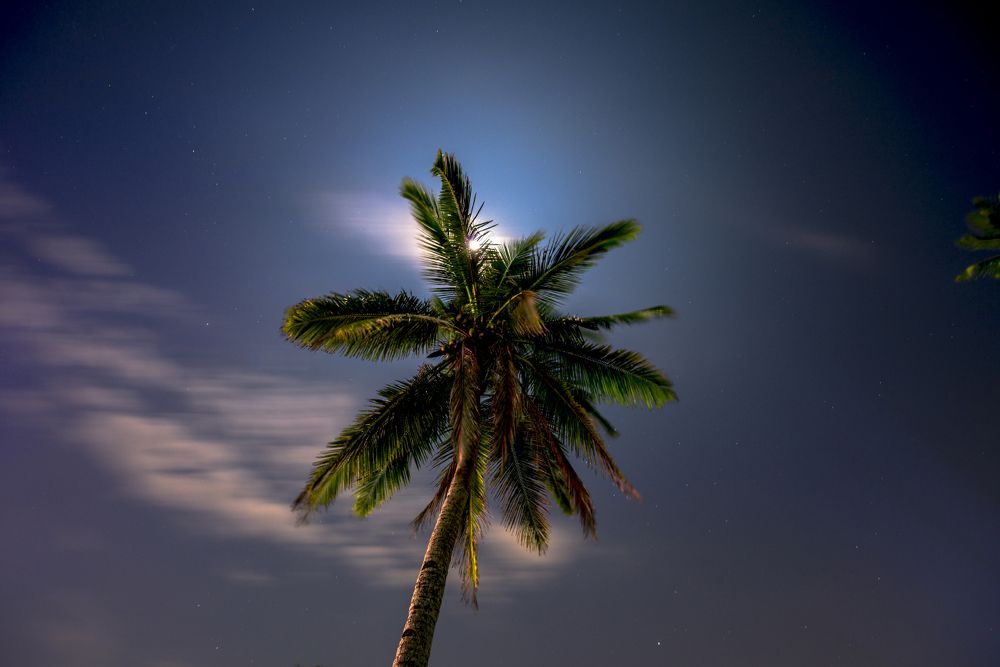 Лунная ночь на Гоа. Colva Beach. South Goa.