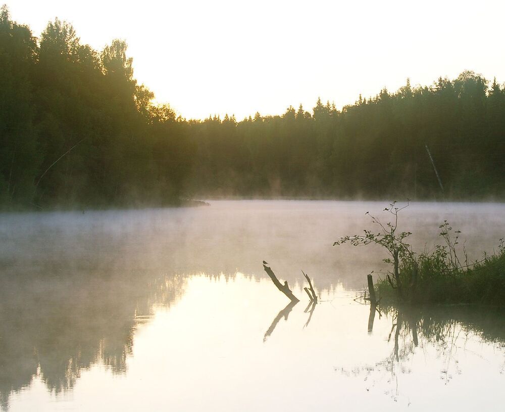 Photo 652850