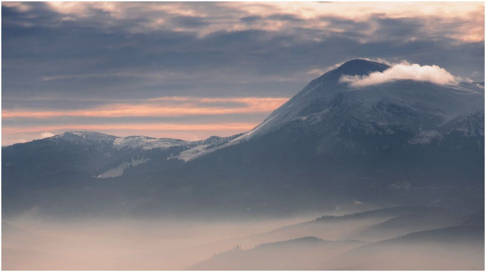 Early Morning