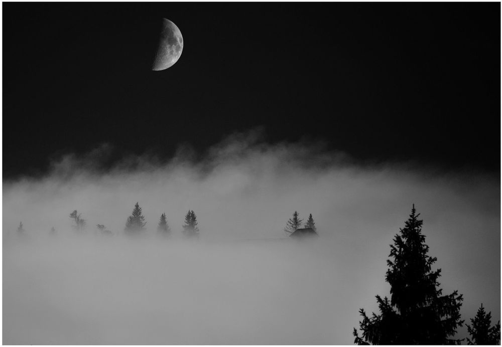 The night