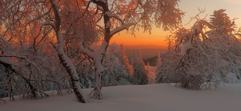 Однажды вечером