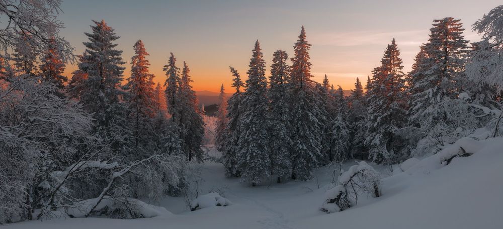 Однажды вечером