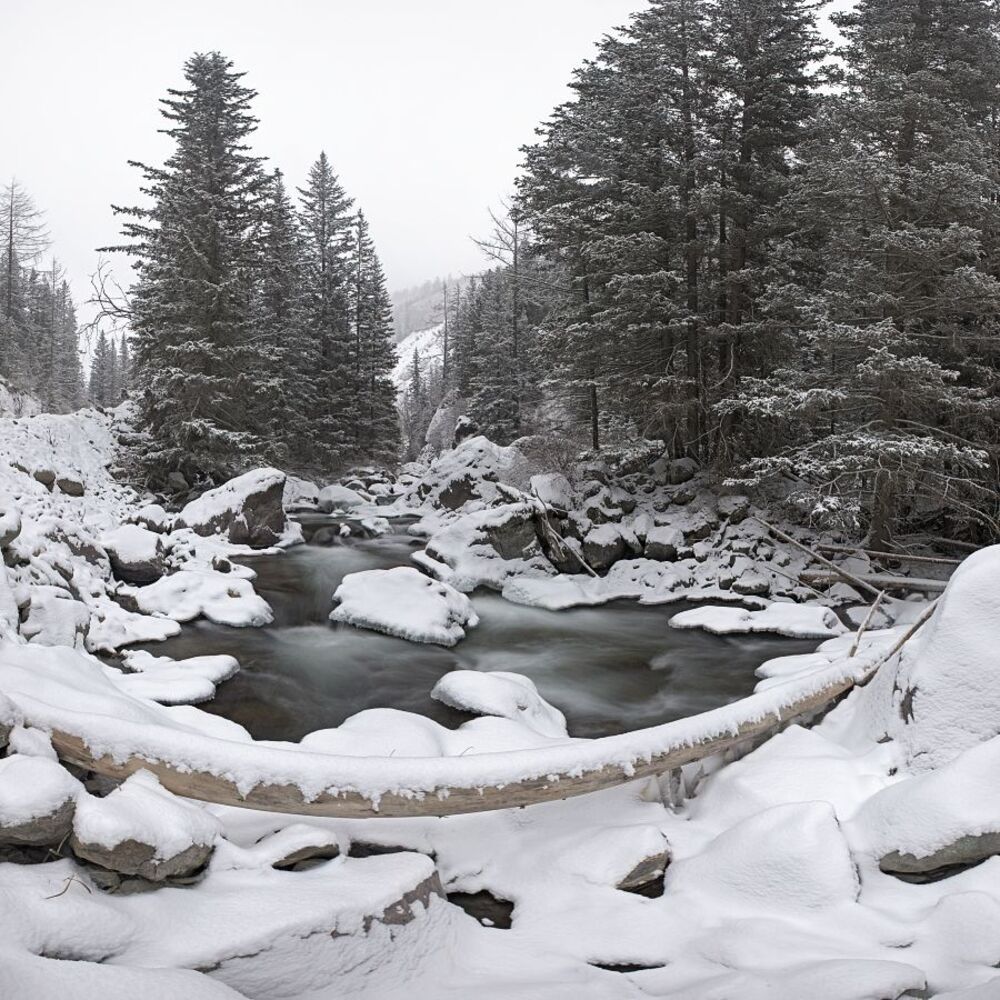река Чибитка, ноябрь, снегопад