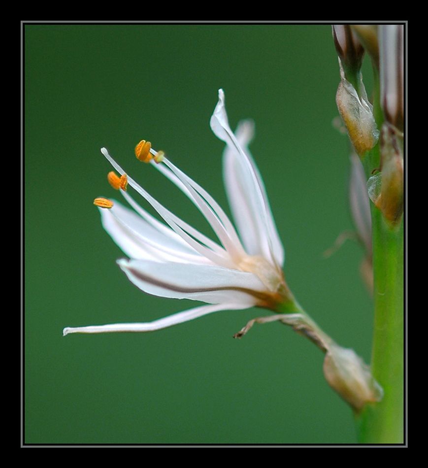 Photo 654155