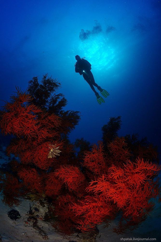 Raja Ampat.