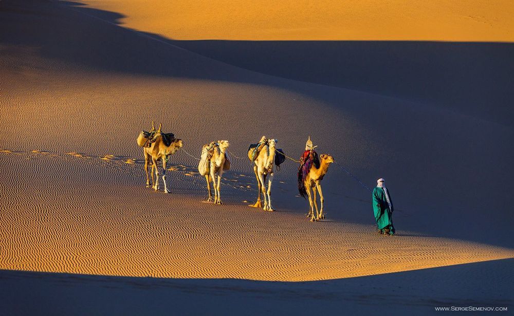 Caravan