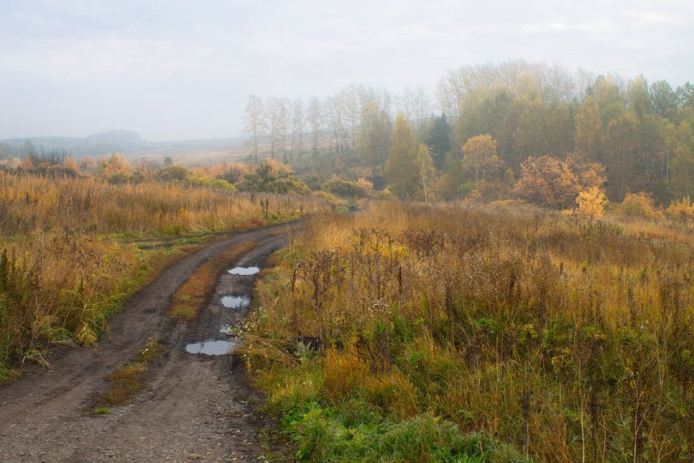Дороги осени
