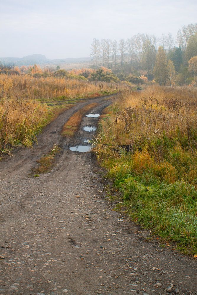 Дороги осени