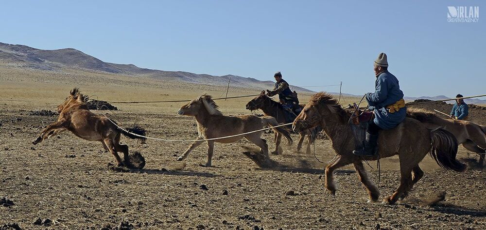 Mongolian horsemen