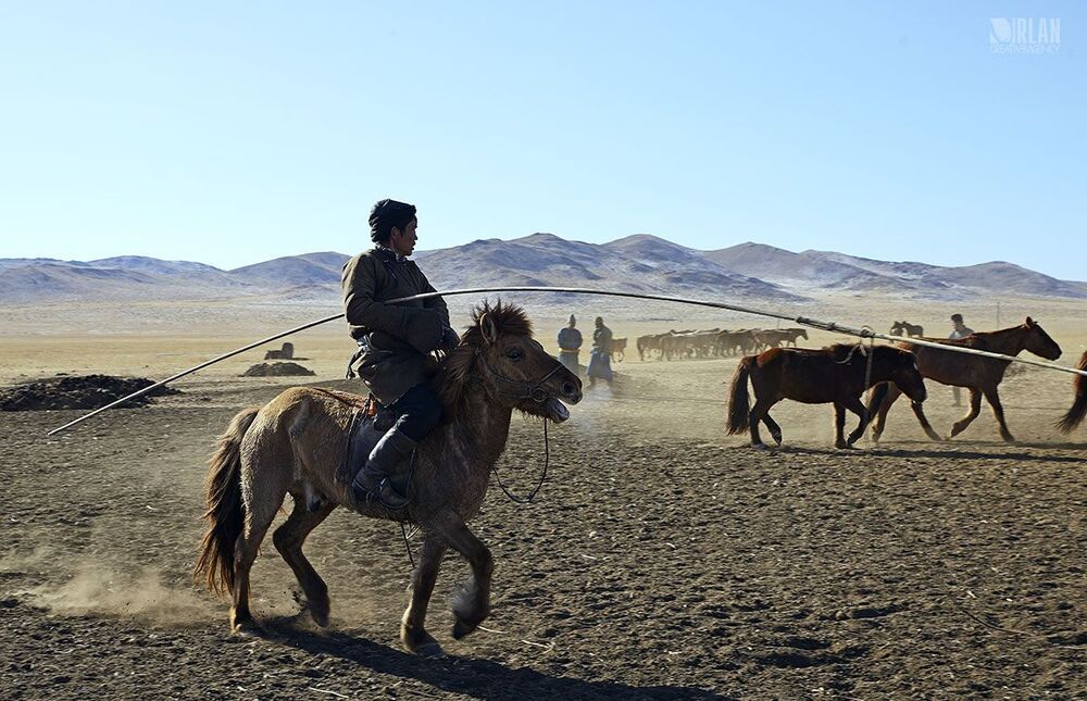 Mongolian horsemen