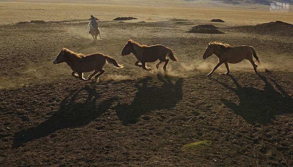 Mongolian horsemen