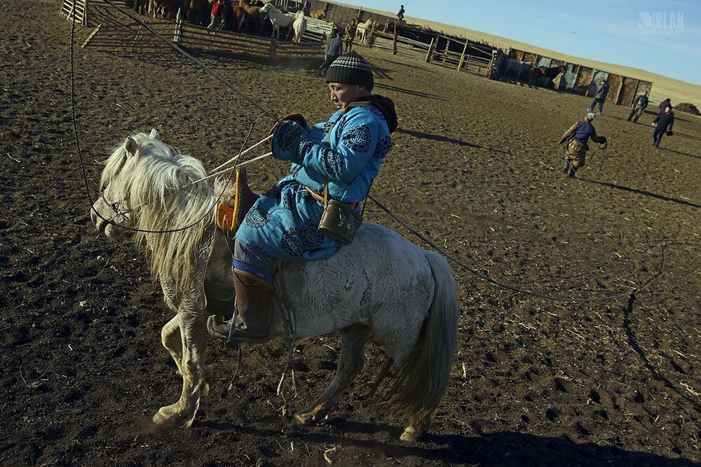 Mongolian horsemen