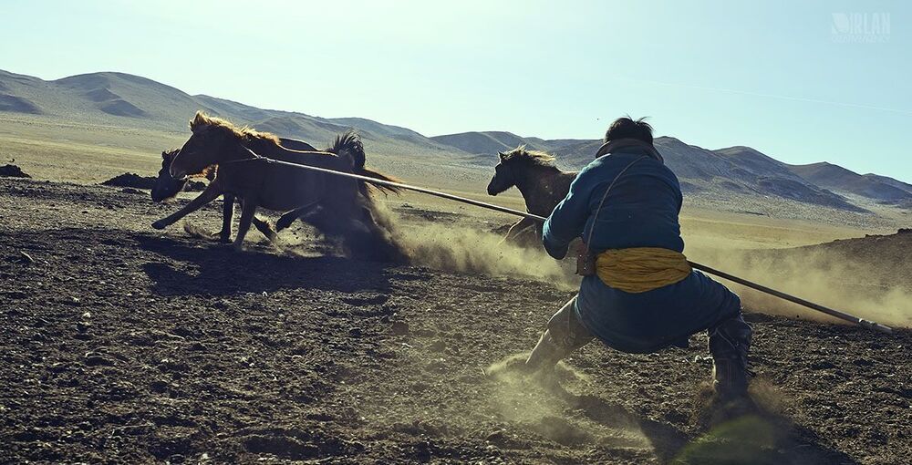 Mongolian horsemen
