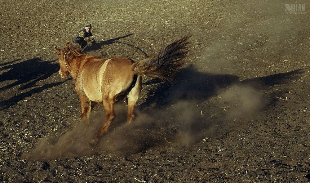 Mongolian horsemen