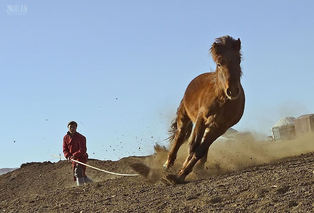 Mongolian horsemen