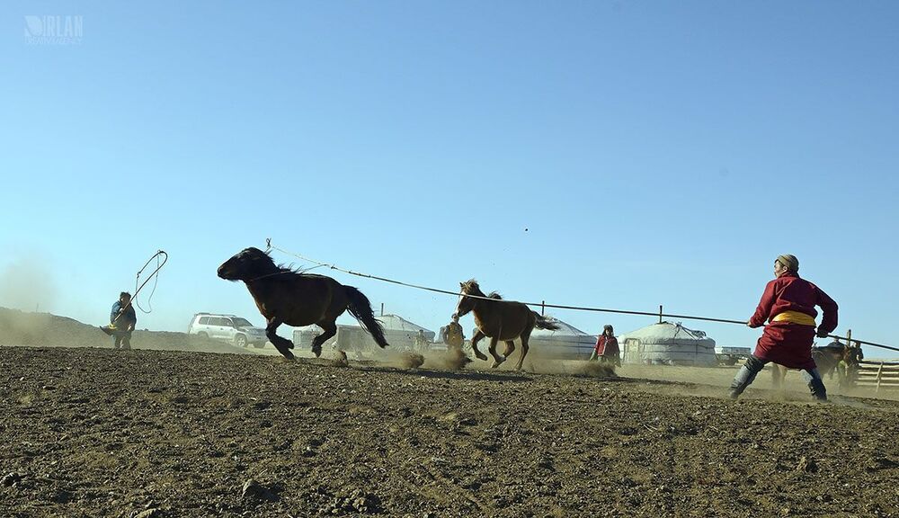 Mongolian horsemen
