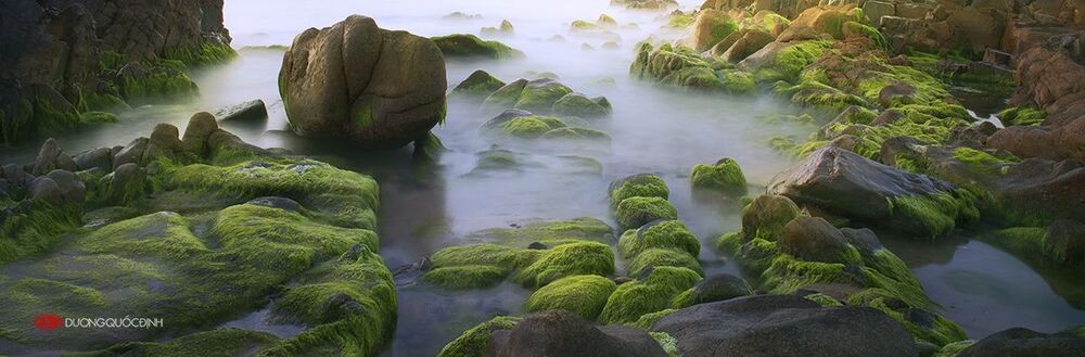 Landscape DQD