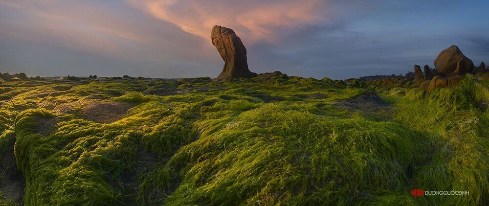 Landscape DQD