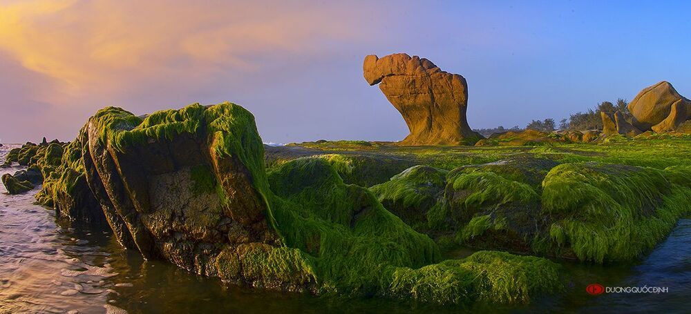 Landscape DQD