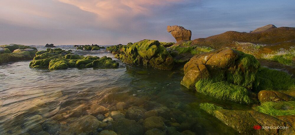 Landscape DQD