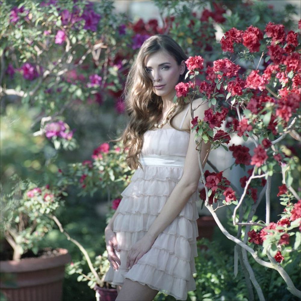 Lera