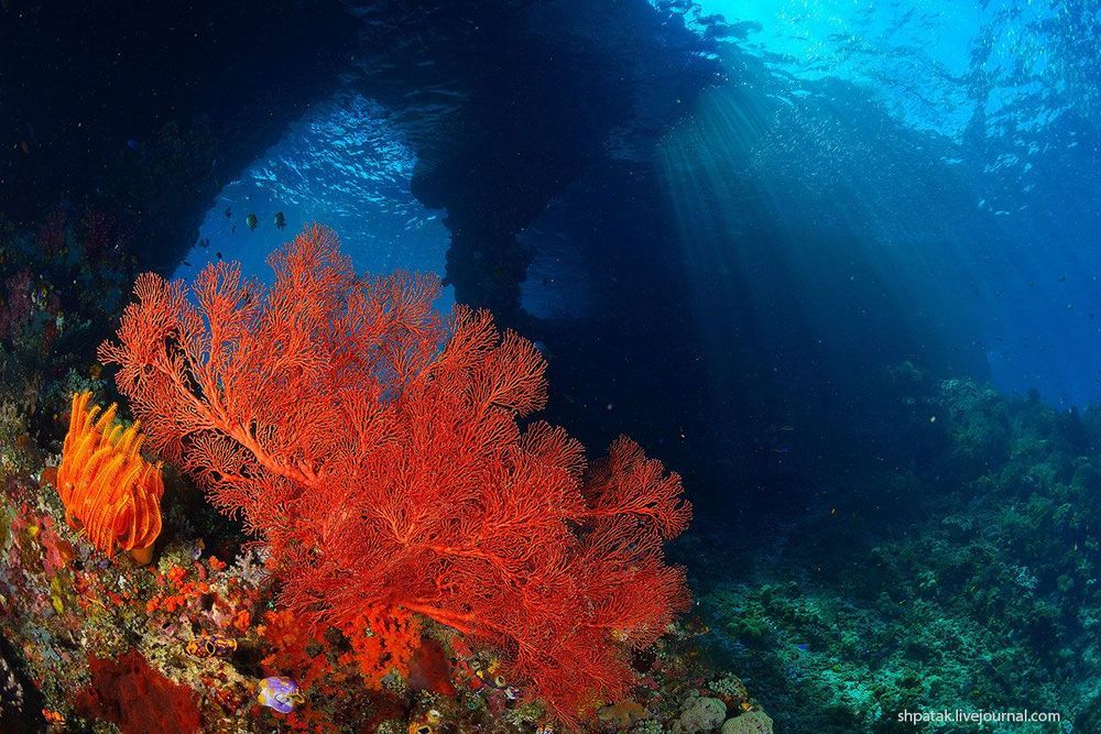 Raja Ampat. Misool isl. Windows.
