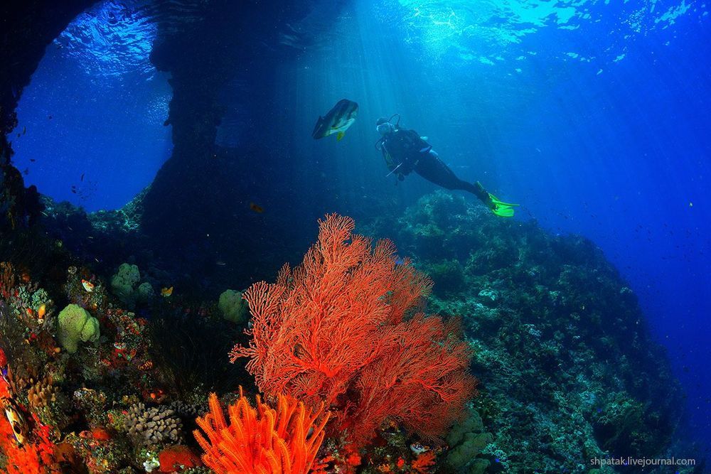 Raja Ampat. Misool isl. Windows.