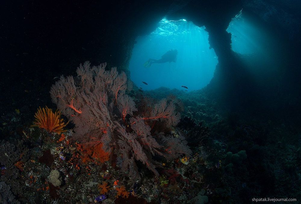 Raja Ampat. Misool isl. Windows.