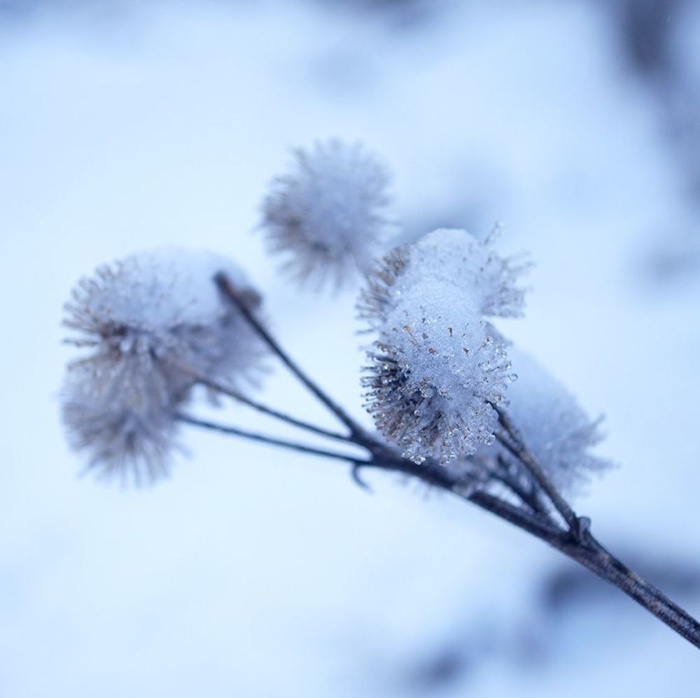 Photo 658218