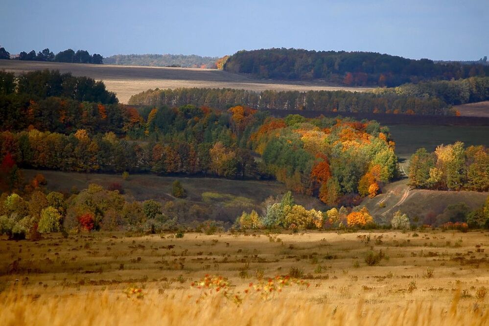 Краски осени.