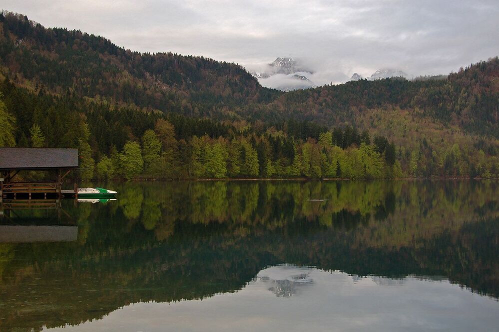 Alpsee
