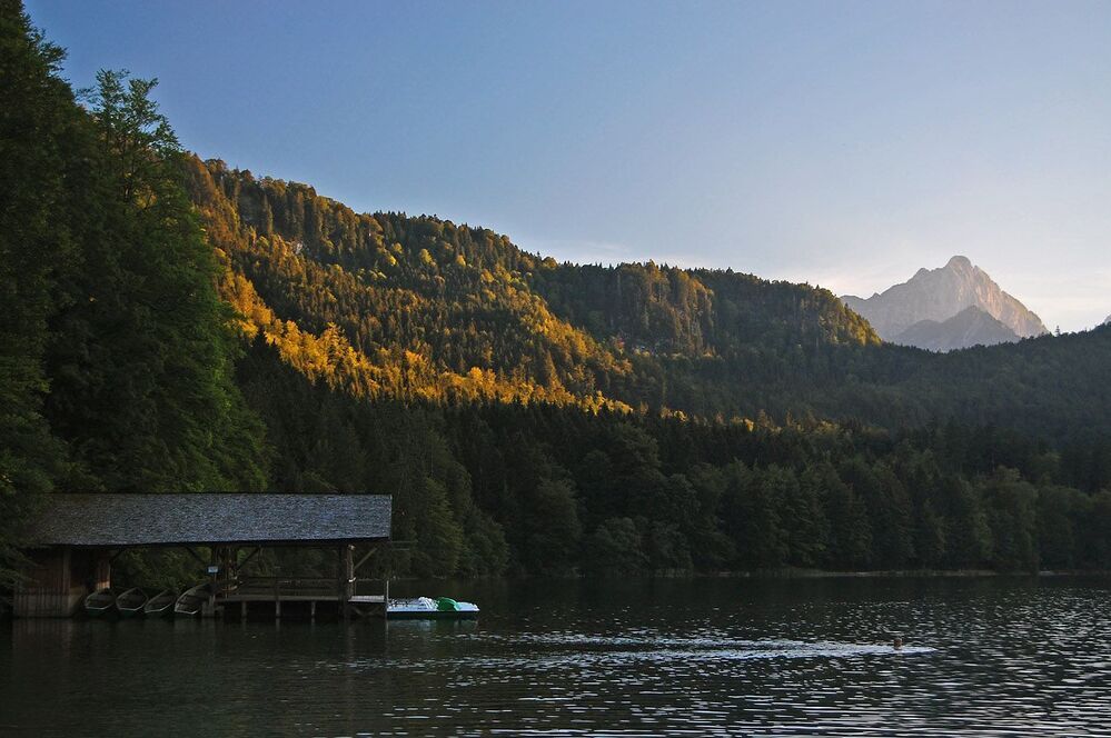 Alpsee