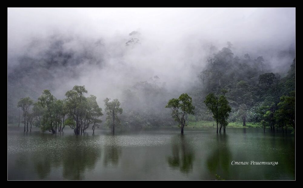 ...туман...(Balinsasayao natural park)