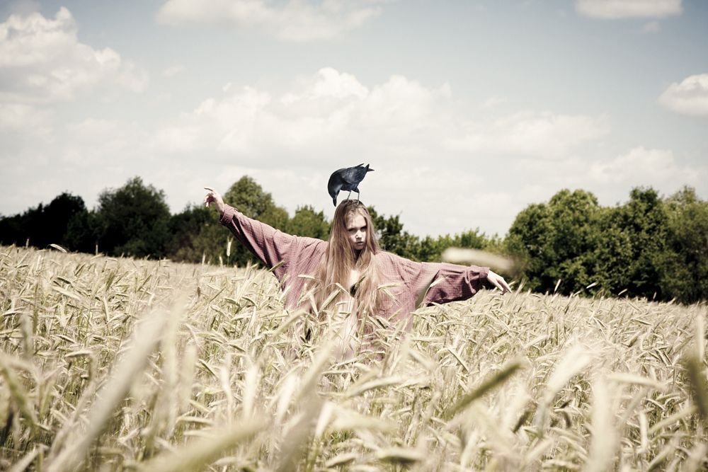Photo 66395