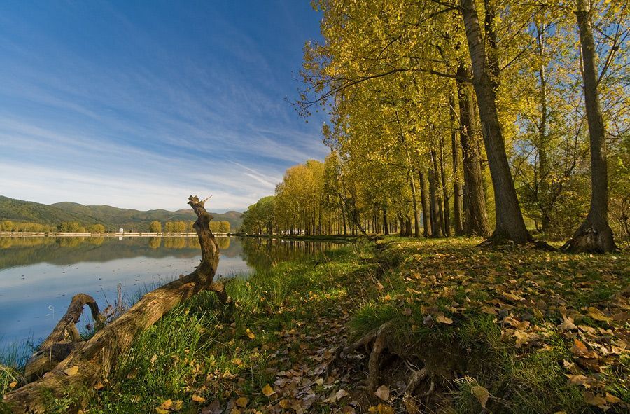 Charming Autumn