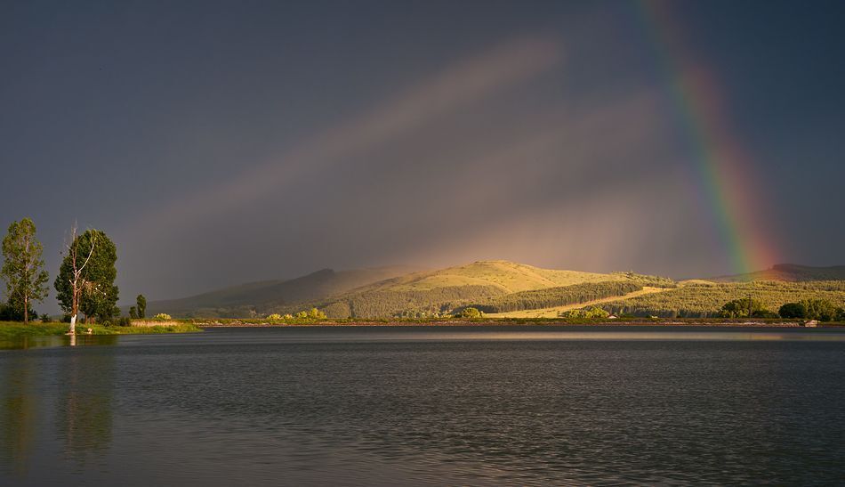 Rays Of Rainbow