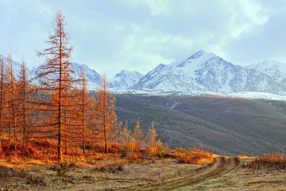Разный Алтай...