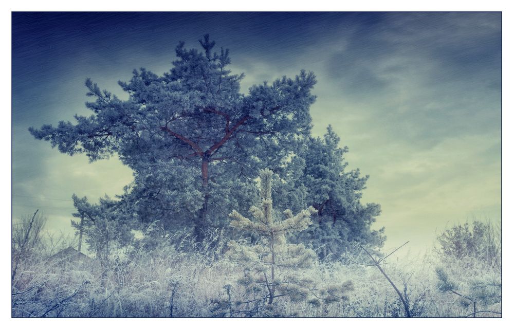 ---= december =---