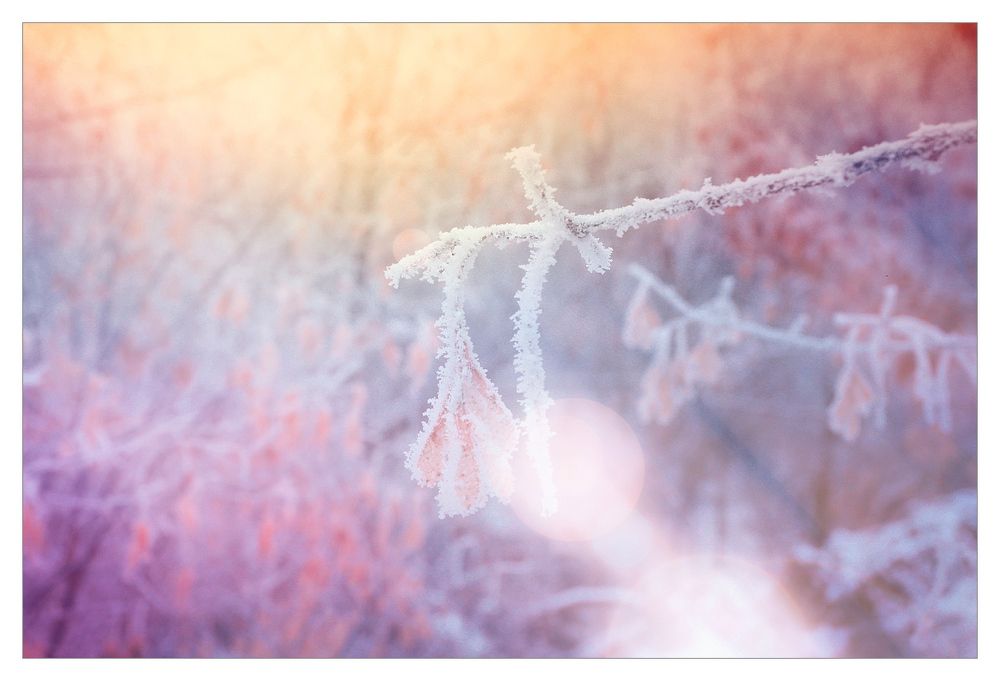---= december =---