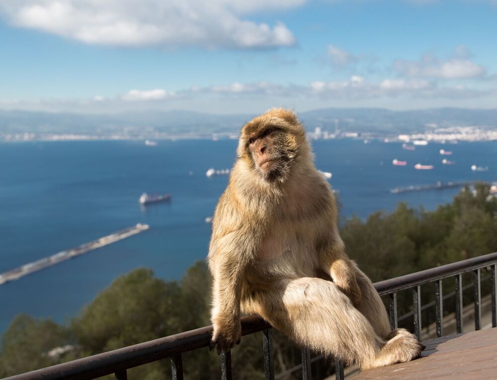 Gibraltar