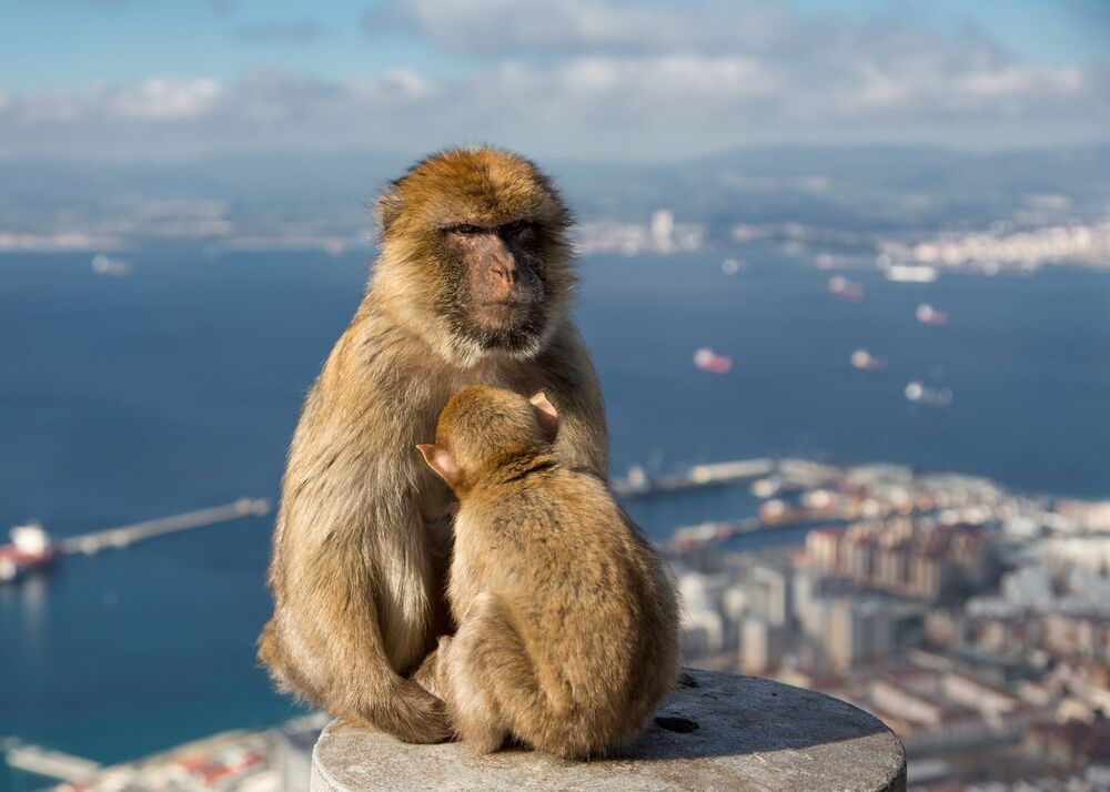 Gibraltar