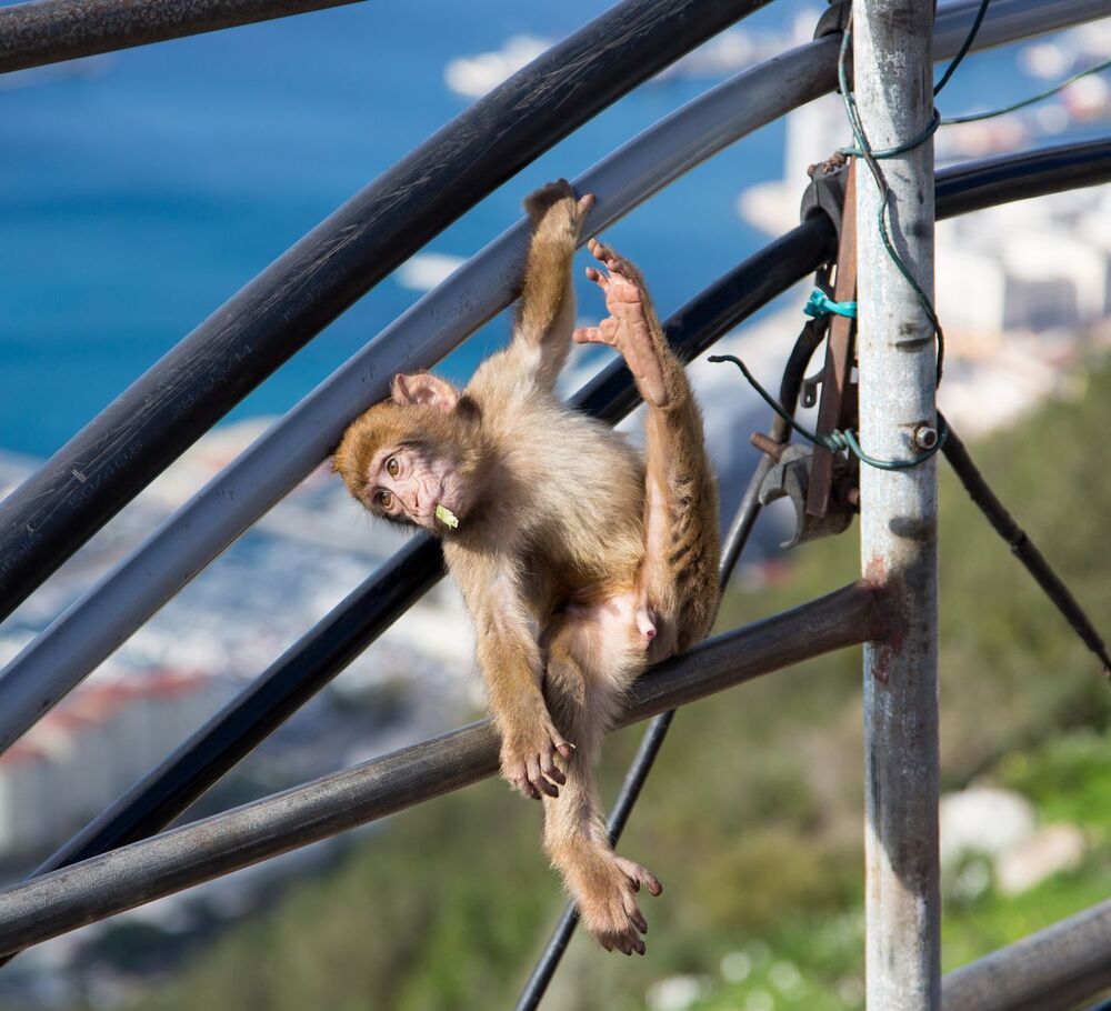 Gibraltar